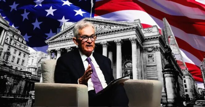
					FED