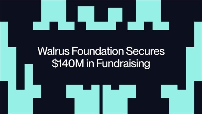 
					Walrus Foundation